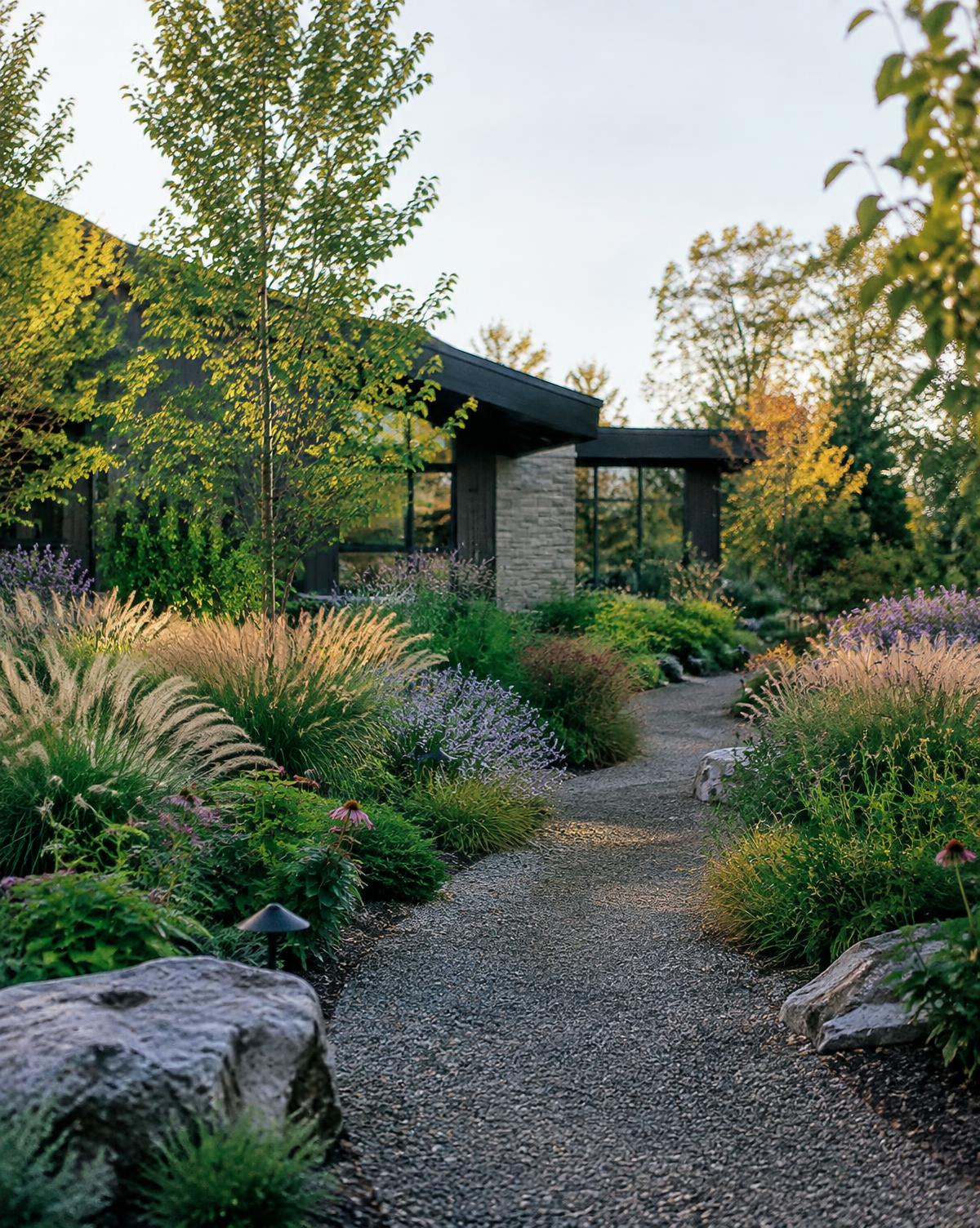Stone garden path through layered planting